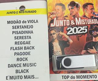 pendrive gravado original 500-600 músicas 22