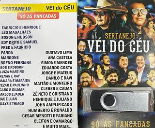 pendrive gravado original 500-600 músicas 21