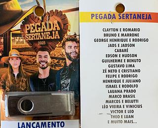 pendrive gravado original 500-600 músicas 31