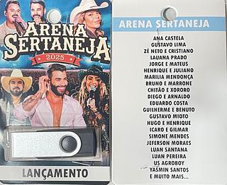 pendrive gravado original 500-600 músicas 69