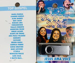 pendrive gravado original 500-600 músicas P117