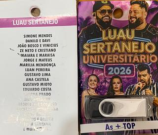 pendrive gravado original 500-600 músicas P109