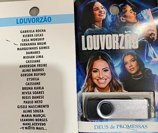 pendrive gravado original 500-600 músicas P118