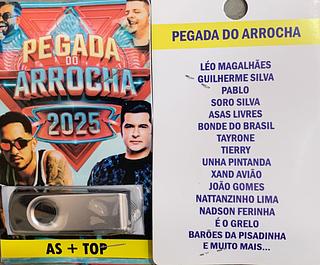 pendrive gravado original 500-600 músicas P102